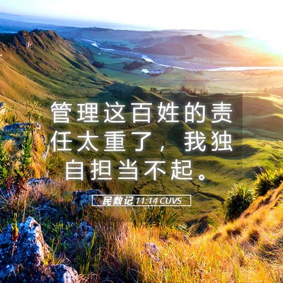 Picture 05 - 民 数 记 11:14 CUVS - 管 理 这 百 姓 的 责 任 太 重 了 ， - Bible Verse Picture