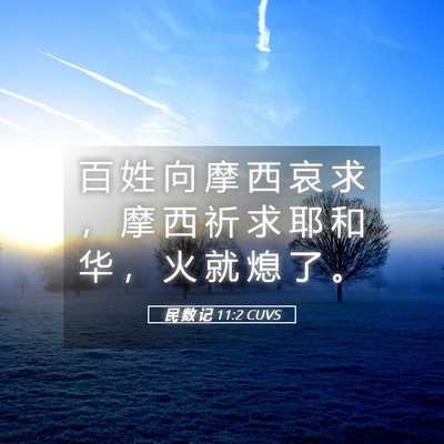 Picture 05 - 民 数 记 11:2 CUVS - 百 姓 向 摩 西 哀 求 ， 摩 西 祈 求 - Bible Verse Picture