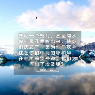 Picture 05 - 民 数 记 11:20 CUVS - 要 吃 一 个 整 月 ， 甚 至 肉 从 你 - Bible Verse Picture
