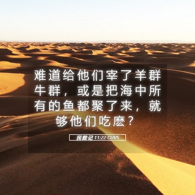 Picture 05 - 民 数 记 11:22 CUVS - 难 道 给 他 们 宰 了 羊 群 牛 群 ， - Bible Verse Picture