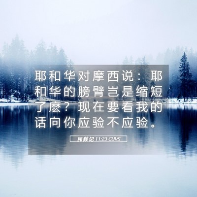 Picture 05 - 民 数 记 11:23 CUVS - 耶 和 华 对 摩 西 说 ： 耶 和 华 的 - Bible Verse Picture
