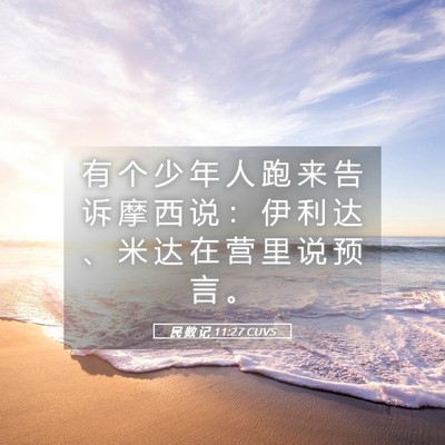 Picture 05 - 民 数 记 11:27 CUVS - 有 个 少 年 人 跑 来 告 诉 摩 西 说 - Bible Verse Picture