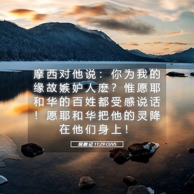 Picture 05 - 民 数 记 11:29 CUVS - 摩 西 对 他 说 ： 你 为 我 的 缘 故 - Bible Verse Picture