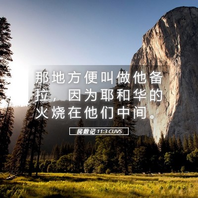 Picture 05 - 民 数 记 11:3 CUVS - 那 地 方 便 叫 做 他 备 拉 ， 因 为 - Bible Verse Picture
