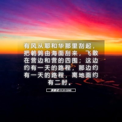 Picture 05 - 民 数 记 11:31 CUVS - 有 风 从 耶 和 华 那 里 刮 起 ， 把 - Bible Verse Picture