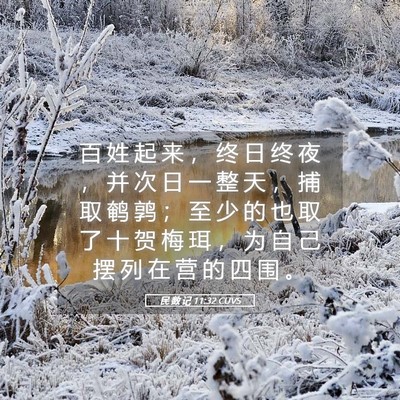 Picture 05 - 民 数 记 11:32 CUVS - 百 姓 起 来 ， 终 日 终 夜 ， 并 次 - Bible Verse Picture