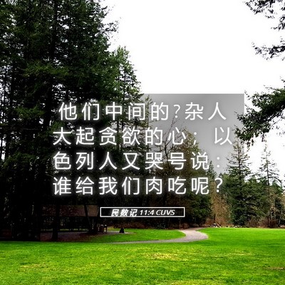 Picture 05 - 民 数 记 11:4 CUVS - 他 们 中 间 的 ? 杂 人 大 起 贪 欲 的 - Bible Verse Picture