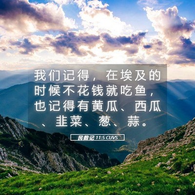 Picture 05 - 民 数 记 11:5 CUVS - 我 们 记 得 ， 在 埃 及 的 时 候 不 - Bible Verse Picture