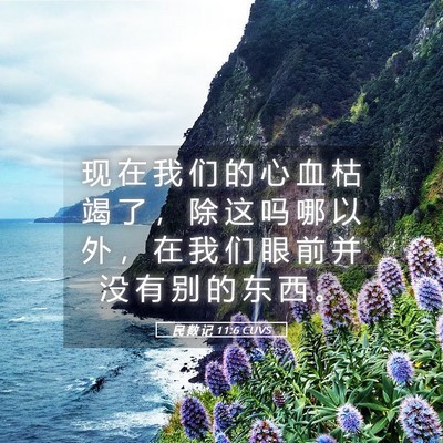 Picture 05 - 民 数 记 11:6 CUVS - 现 在 我 们 的 心 血 枯 竭 了 ， 除 - Bible Verse Picture