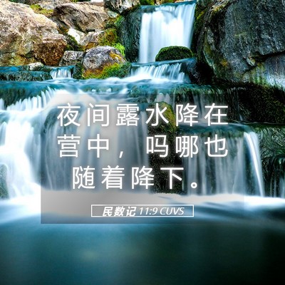 Picture 05 - 民 数 记 11:9 CUVS - 夜 间 露 水 降 在 营 中 ， 吗 哪 也 - Bible Verse Picture