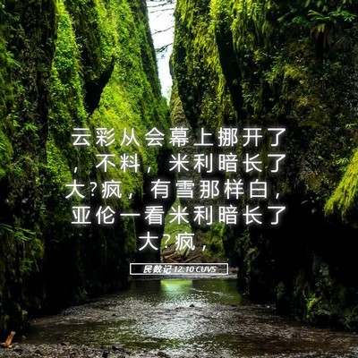 Picture 05 - 民 数 记 12:10 CUVS - 云 彩 从 会 幕 上 挪 开 了 ， 不 料 - Bible Verse Picture