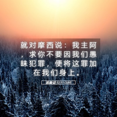 Picture 05 - 民 数 记 12:11 CUVS - 就 对 摩 西 说 ： 我 主 阿 ， 求 你 - Bible Verse Picture