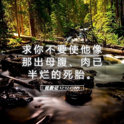 Picture 05 - 民 数 记 12:12 CUVS - 求 你 不 要 使 他 像 那 出 母 腹 、 - Bible Verse Picture