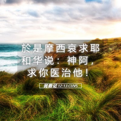 Picture 05 - 民 数 记 12:13 CUVS - 於 是 摩 西 哀 求 耶 和 华 说 ： 神 - Bible Verse Picture