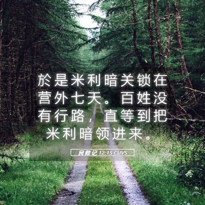 Picture 05 - 民 数 记 12:15 CUVS - 於 是 米 利 暗 关 锁 在 营 外 七 天 - Bible Verse Picture