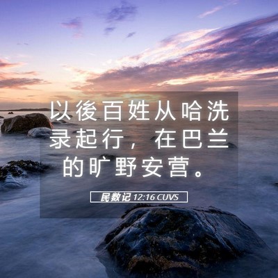Picture 05 - 民 数 记 12:16 CUVS - 以 後 百 姓 从 哈 洗 录 起 行 ， 在 - Bible Verse Picture