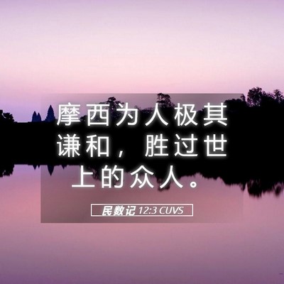 Picture 05 - 民 数 记 12:3 CUVS - 摩 西 为 人 极 其 谦 和 ， 胜 过 世 - Bible Verse Picture