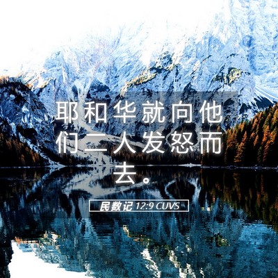 Picture 05 - 民 数 记 12:9 CUVS - 耶 和 华 就 向 他 们 二 人 发 怒 而 - Bible Verse Picture
