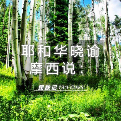 Picture 05 - 民 数 记 13:1 CUVS - 耶 和 华 晓 谕 摩 西 说 - Bible Verse Picture