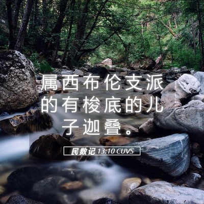 Picture 05 - 民 数 记 13:10 CUVS - 属 西 布 伦 支 派 的 有 梭 底 的 儿 - Bible Verse Picture