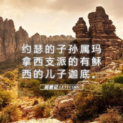 Picture 05 - 民 数 记 13:11 CUVS - 约 瑟 的 子 孙 属 玛 拿 西 支 派 的 - Bible Verse Picture