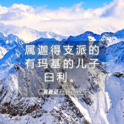 Picture 05 - 民 数 记 13:15 CUVS - 属 迦 得 支 派 的 有 玛 基 的 儿 子 - Bible Verse Picture