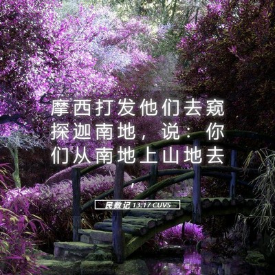 Picture 05 - 民 数 记 13:17 CUVS - 摩 西 打 发 他 们 去 窥 探 迦 南 地 - Bible Verse Picture