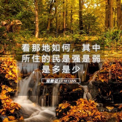 Picture 05 - 民 数 记 13:18 CUVS - 看 那 地 如 何 ， 其 中 所 住 的 民 - Bible Verse Picture
