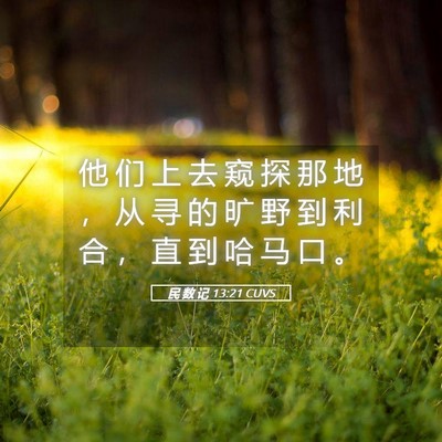 Picture 05 - 民 数 记 13:21 CUVS - 他 们 上 去 窥 探 那 地 ， 从 寻 的 - Bible Verse Picture