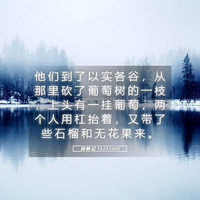 Picture 05 - 民 数 记 13:23 CUVS - 他 们 到 了 以 实 各 谷 ， 从 那 里 - Bible Verse Picture