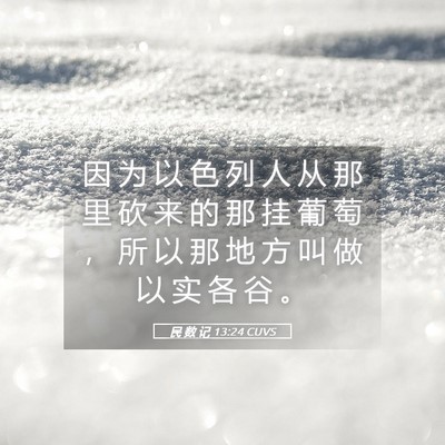 Picture 05 - 民 数 记 13:24 CUVS - 因 为 以 色 列 人 从 那 里 砍 来 的 - Bible Verse Picture