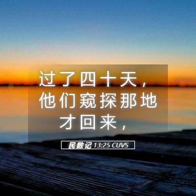 Picture 05 - 民 数 记 13:25 CUVS - 过 了 四 十 天 ， 他 们 窥 探 那 地 - Bible Verse Picture