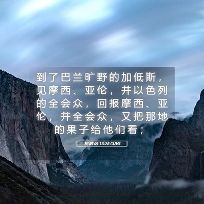 Picture 05 - 民 数 记 13:26 CUVS - 到 了 巴 兰 旷 野 的 加 低 斯 ， 见 - Bible Verse Picture