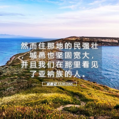 Picture 05 - 民 数 记 13:28 CUVS - 然 而 住 那 地 的 民 强 壮 ， 城 邑 - Bible Verse Picture