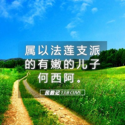 Picture 05 - 民 数 记 13:8 CUVS - 属 以 法 莲 支 派 的 有 嫩 的 儿 子 - Bible Verse Picture