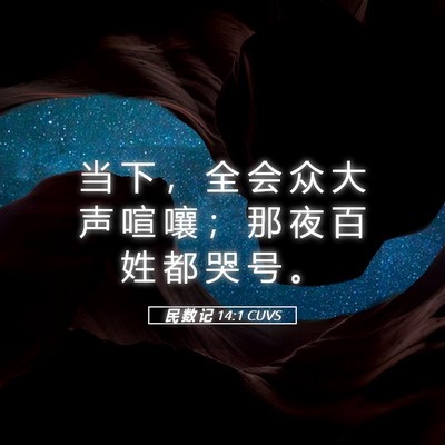 Picture 05 - 民 数 记 14:1 CUVS - 当 下 ， 全 会 众 大 声 喧 嚷 ； 那 - Bible Verse Picture