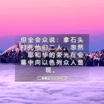 Picture 05 - 民 数 记 14:10 CUVS - 但 全 会 众 说 ： 拿 石 头 打 死 他 - Bible Verse Picture