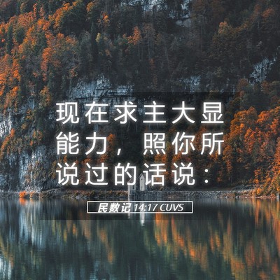 Picture 05 - 民 数 记 14:17 CUVS - 现 在 求 主 大 显 能 力 ， 照 你 所 - Bible Verse Picture