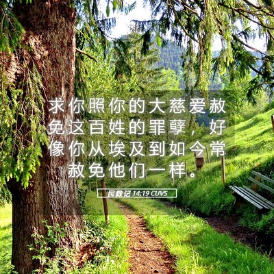 Picture 05 - 民 数 记 14:19 CUVS - 求 你 照 你 的 大 慈 爱 赦 免 这 百 - Bible Verse Picture