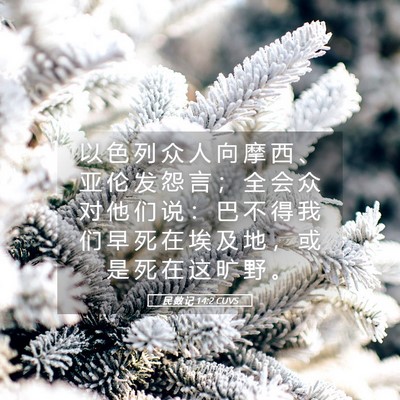 Picture 05 - 民 数 记 14:2 CUVS - 以 色 列 众 人 向 摩 西 、 亚 伦 发 - Bible Verse Picture