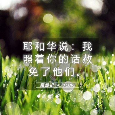 Picture 05 - 民 数 记 14:20 CUVS - 耶 和 华 说 ： 我 照 着 你 的 话 赦 - Bible Verse Picture