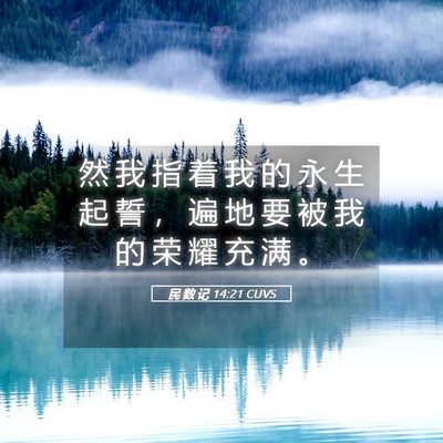 Picture 05 - 民 数 记 14:21 CUVS - 然 我 指 着 我 的 永 生 起 誓 ， 遍 - Bible Verse Picture