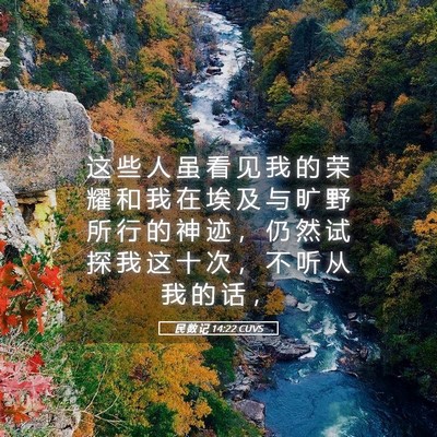 Picture 05 - 民 数 记 14:22 CUVS - 这 些 人 虽 看 见 我 的 荣 耀 和 我 - Bible Verse Picture