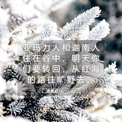 Picture 05 - 民 数 记 14:25 CUVS - 亚 玛 力 人 和 迦 南 人 住 在 谷 中 - Bible Verse Picture