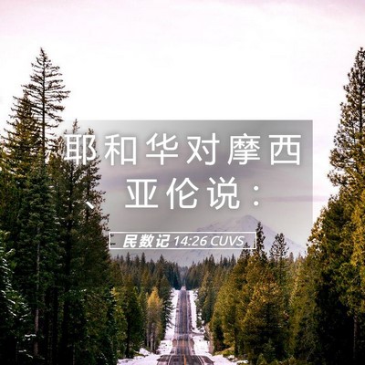 Picture 05 - 民 数 记 14:26 CUVS - 耶 和 华 对 摩 西 、 亚 伦 说 - Bible Verse Picture
