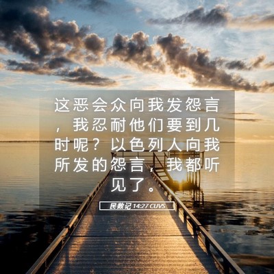 Picture 05 - 民 数 记 14:27 CUVS - 这 恶 会 众 向 我 发 怨 言 ， 我 忍 - Bible Verse Picture