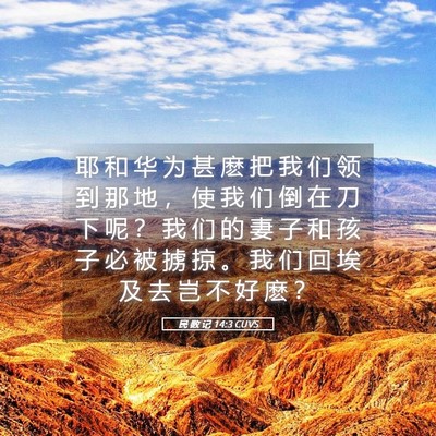 Picture 05 - 民 数 记 14:3 CUVS - 耶 和 华 为 甚 麽 把 我 们 领 到 那 - Bible Verse Picture