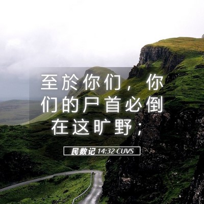 Picture 05 - 民 数 记 14:32 CUVS - 至 於 你 们 ， 你 们 的 尸 首 必 倒 - Bible Verse Picture