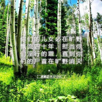 Picture 05 - 民 数 记 14:33 CUVS - 你 们 的 儿 女 必 在 旷 野 飘 流 四 - Bible Verse Picture