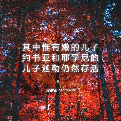 Picture 05 - 民 数 记 14:38 CUVS - 其 中 惟 有 嫩 的 儿 子 约 书 亚 和 - Bible Verse Picture